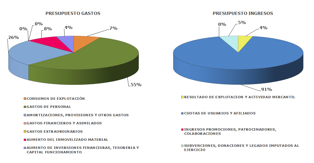 Gr&aacute;ficos presupuesto